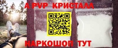 СК Новозыбков