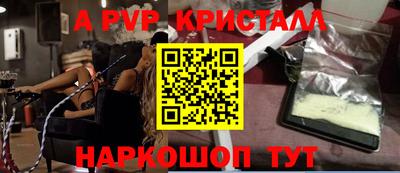 СК Новозыбков