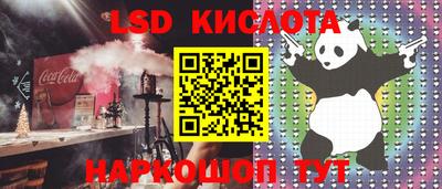 СК Новозыбков