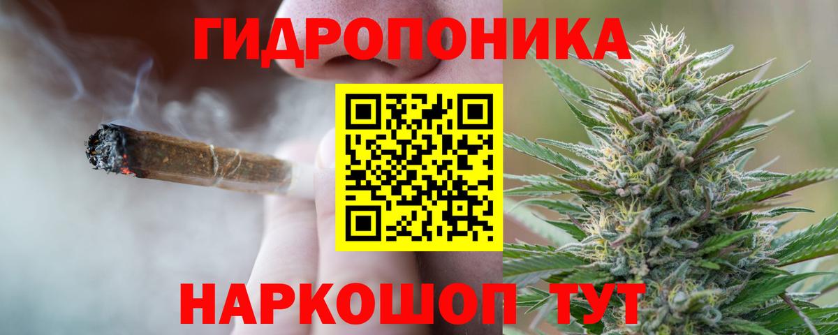 Тулун  Бошки марихуана Bruce Banner  Вход с VPN  Бошки Шишки Amnesia 